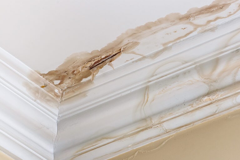 Signs of Water Damage in Walls, Ceiling, Floors, and Roof