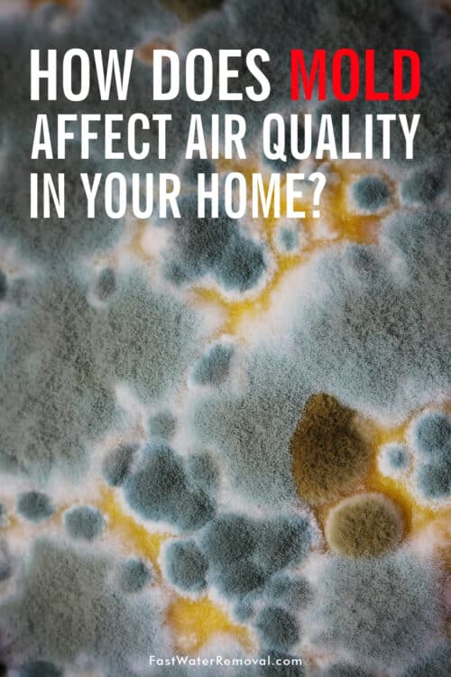 An image of mold spores used for a Pinterest post with the text - How does mold affect air quality in your home?
